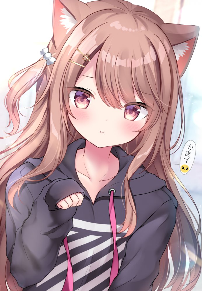 ケモ耳の秘密のエロ画像を収集