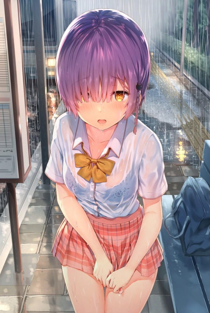 制服が好きすぎて画像がいくらあっても足りない