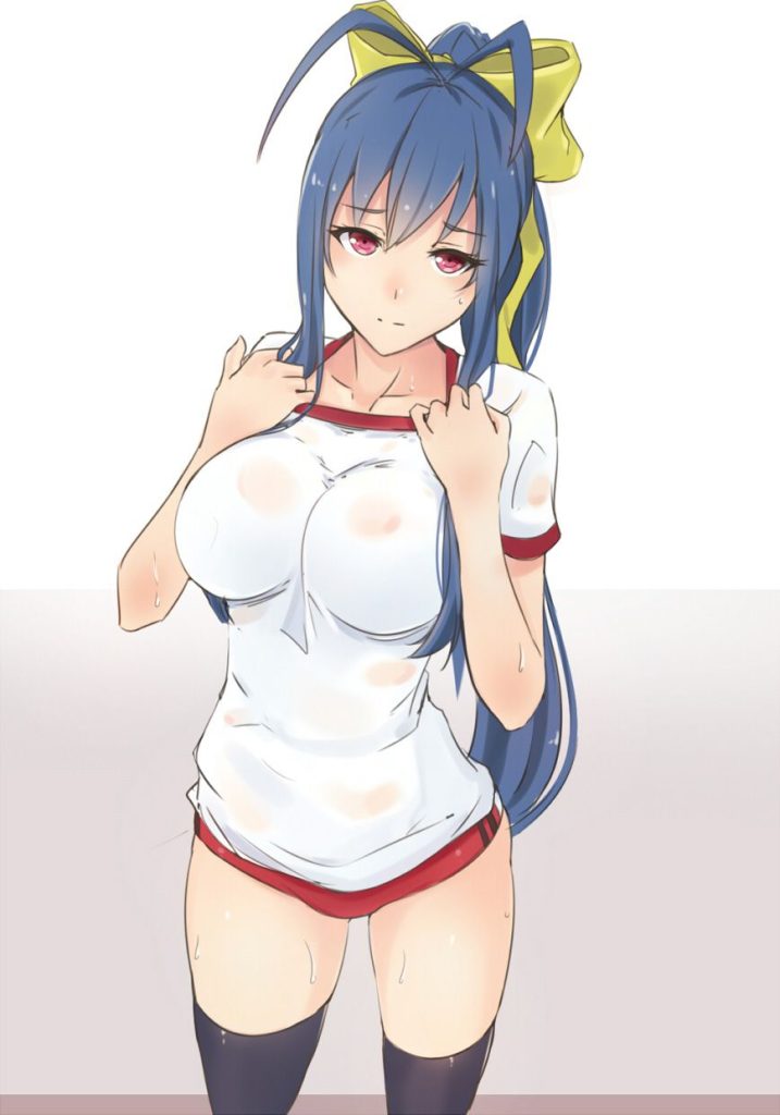 オカズにできそうな体操服・ブルマの二次エロ画像はいかがですか？