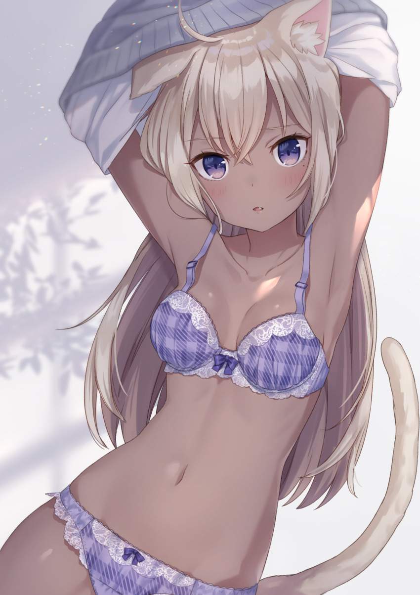 貧乳でしこれる二次画像ください!