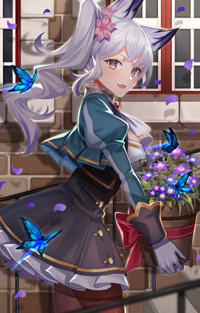 銀髪を期待する人が集まる画像倉庫。