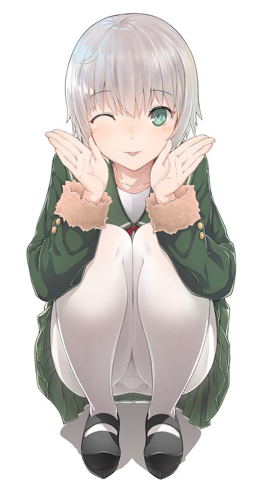 銀髪を期待する人が集まる画像倉庫。