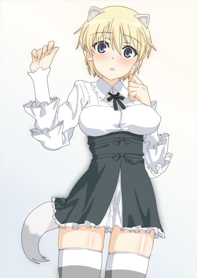 ストライクウィッチーズのエロ画像でヌきたい奴らは集まれ!