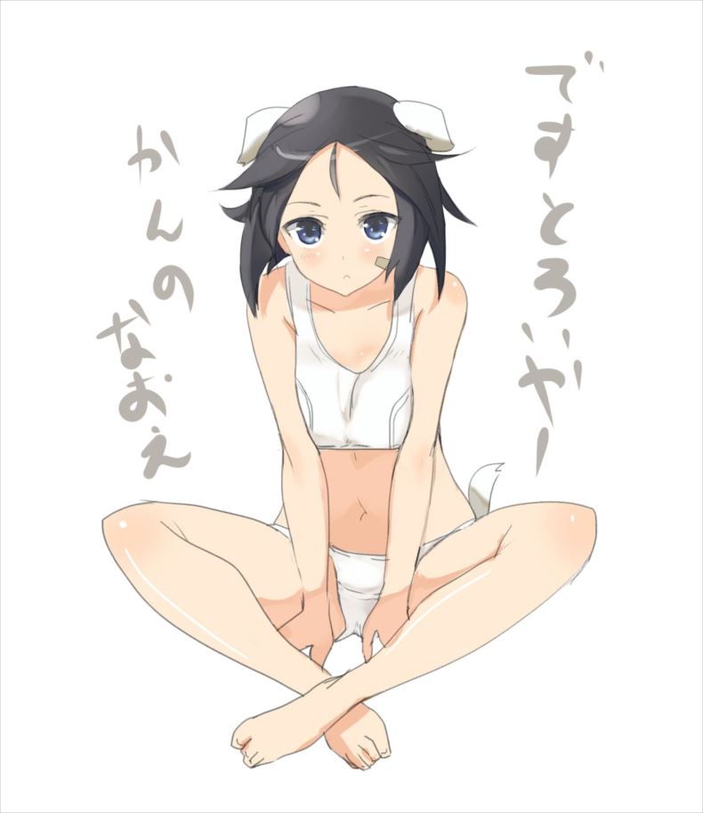 ストライクウィッチーズのエロ画像でヌきたい奴らは集まれ!