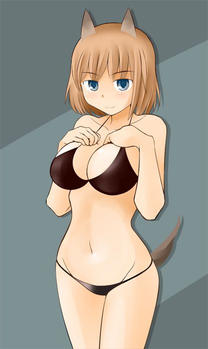 ストライクウィッチーズのエロ画像でヌきたい奴らは集まれ!