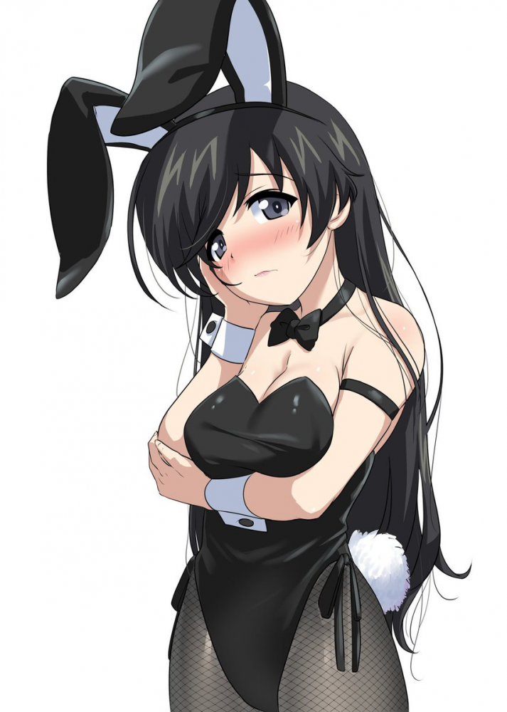 バニーガールの選り抜き画像♪