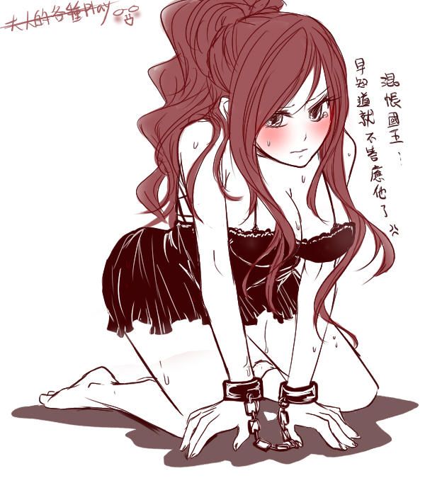 FAIRY TAILの画像フォルダを公開する!