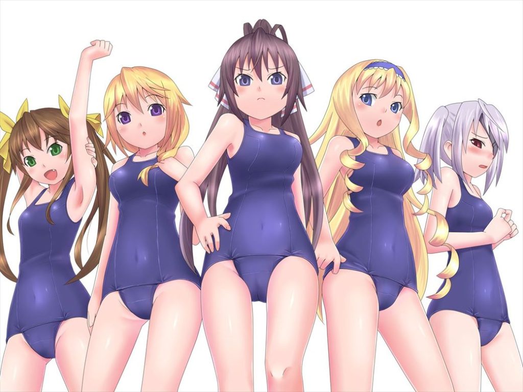 Hないたずらをしたくなるインフィニット・ストラトスのエロ画像
