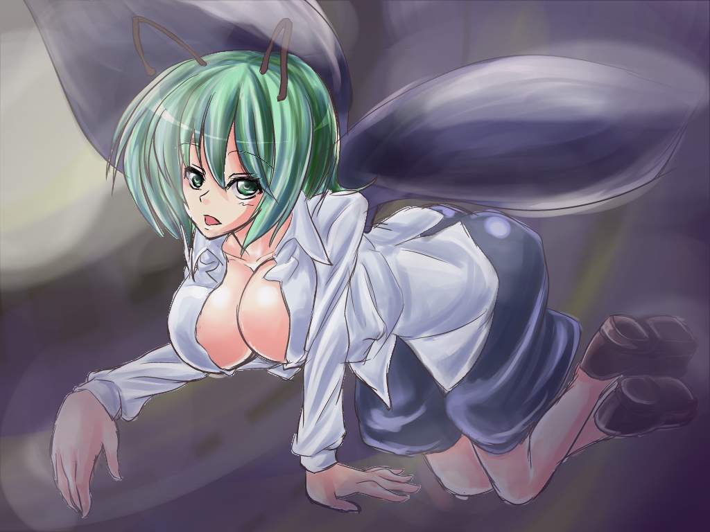 東方Projectの至高vs究極のエロ画像