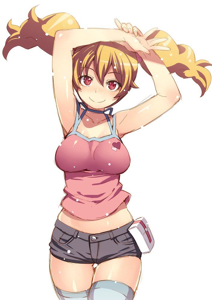 ツインテールの二次フェチ画像。