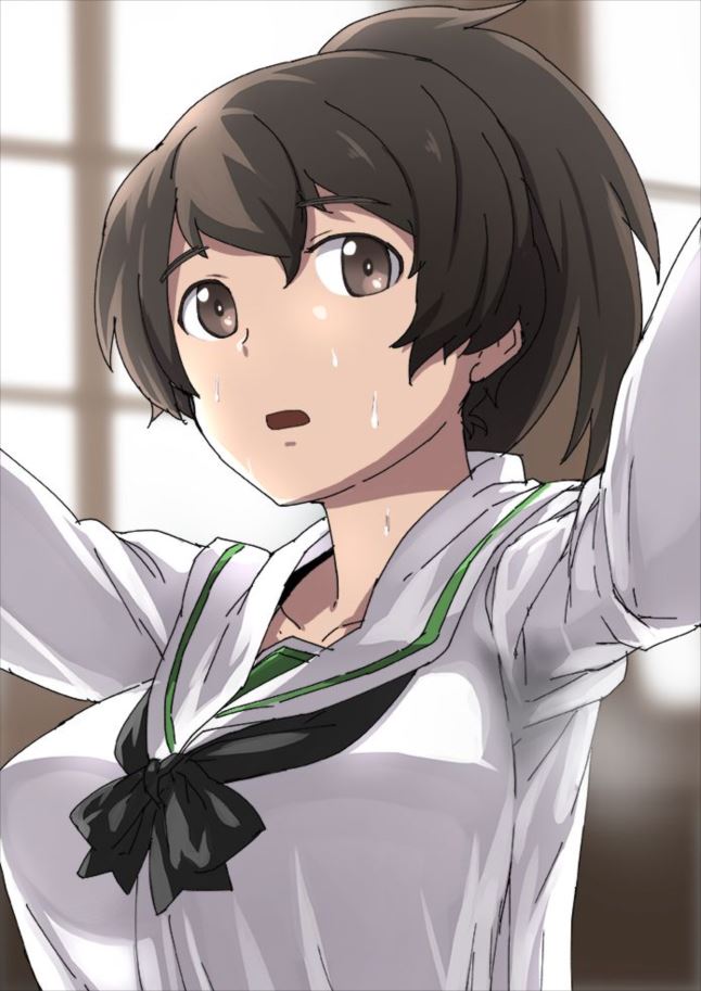 ガールズ&パンツァーの抜けるエロ画像ください!