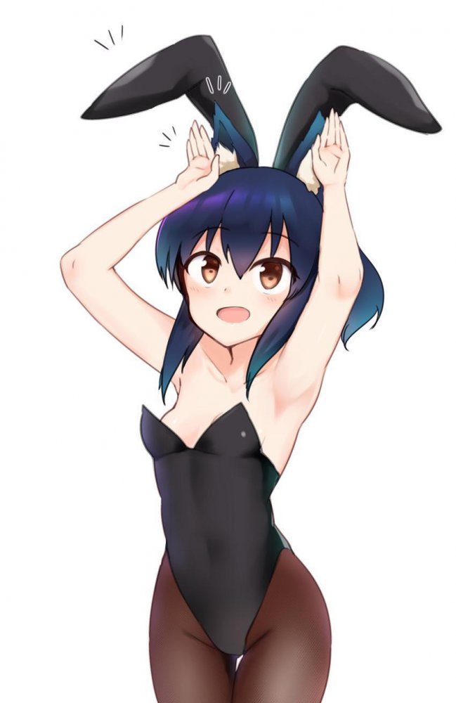 バニーガールのエロ画像がほしい！