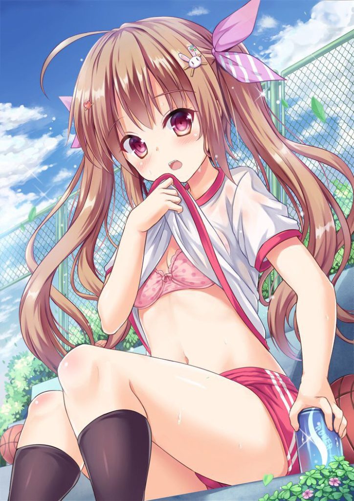 体操服・ブルマの抜けるエロ画像ください！