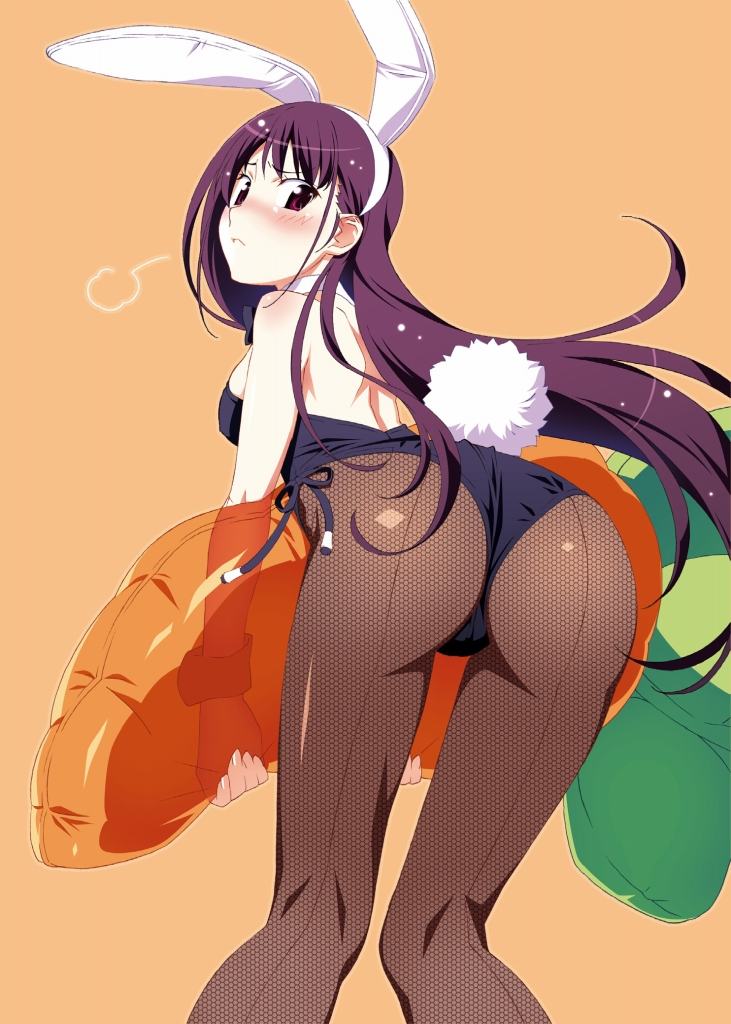 バニーガールの画像が好きな紳士の方はこちらへどうぞ。