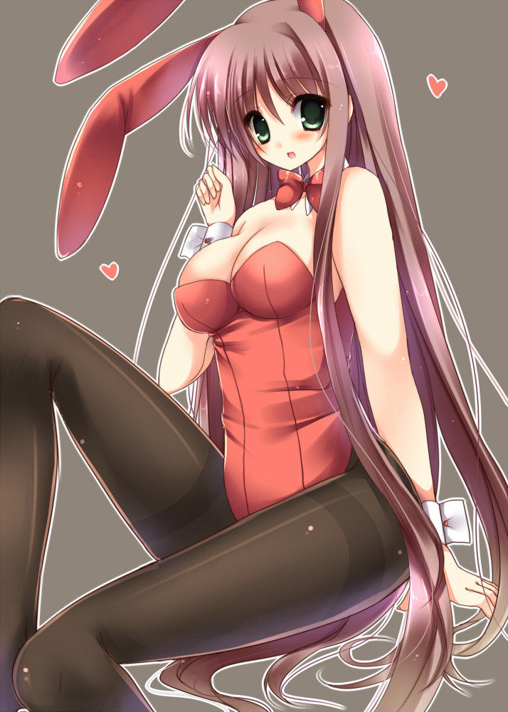 バニーガールの画像が好きな紳士の方はこちらへどうぞ。