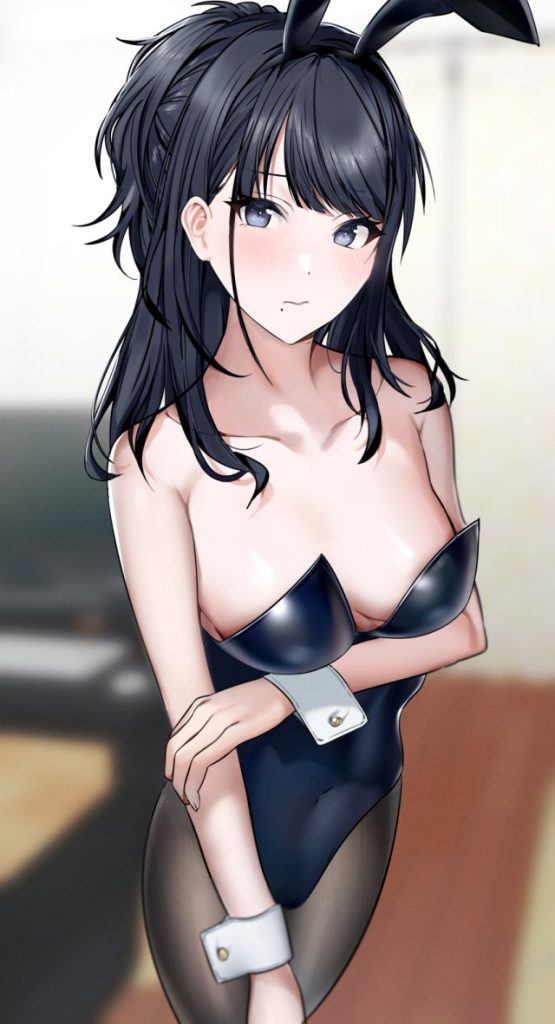 バニーガールの画像が好きな紳士の方はこちらへどうぞ。