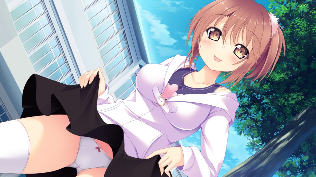 【たくし上げ】「ひあぁあ♡イキましゅ♡イってぇしまいましゅうぅー♡」エッチなご奉仕画像
