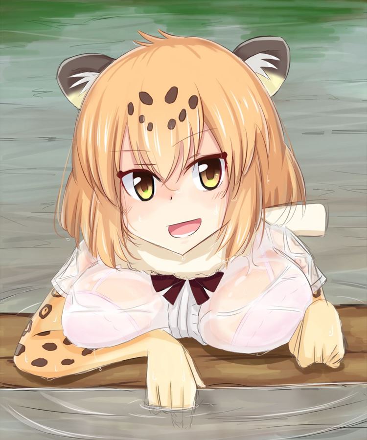 けものフレンズのエロ画像待った無し！