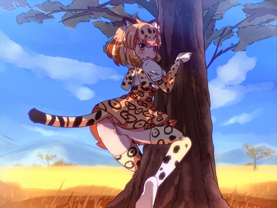 けものフレンズのエロ画像待った無し！