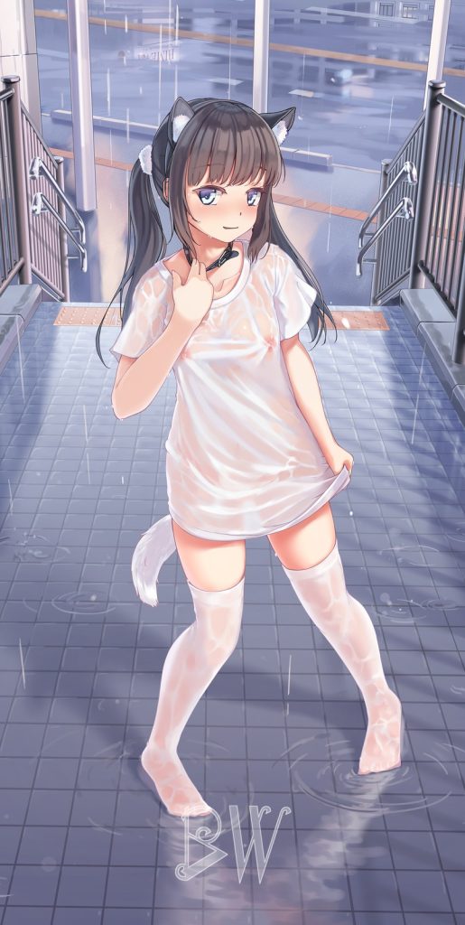 濡れ透けの二次フェチ画像。