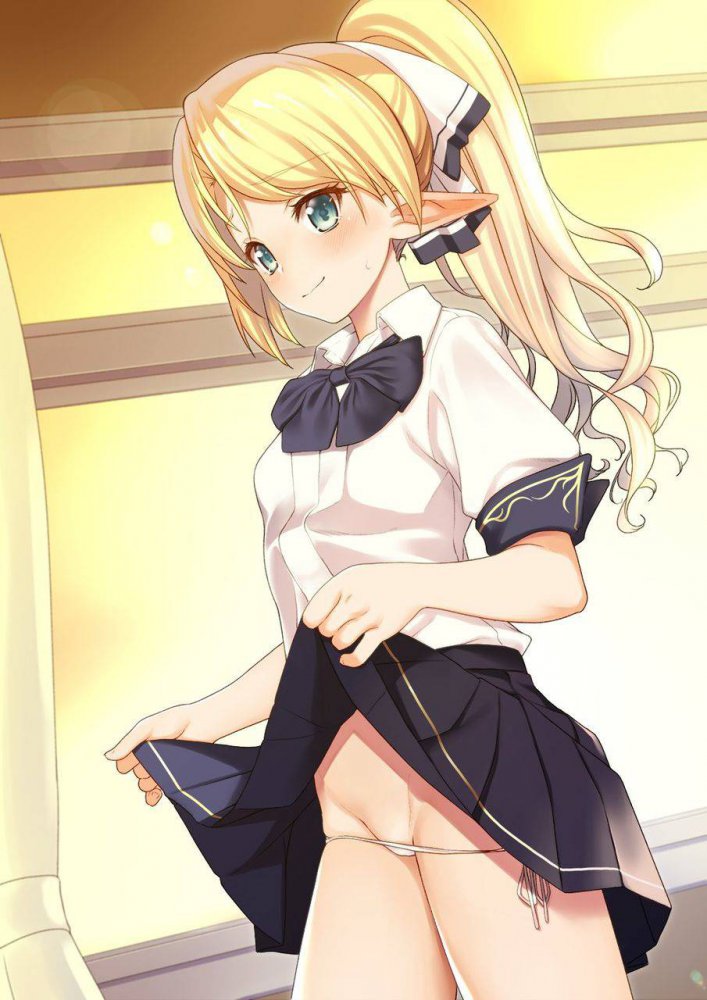 たくし上げでしこれる二次画像ください!