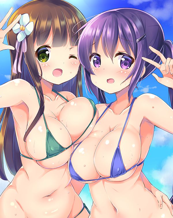 ビキニの画像ください