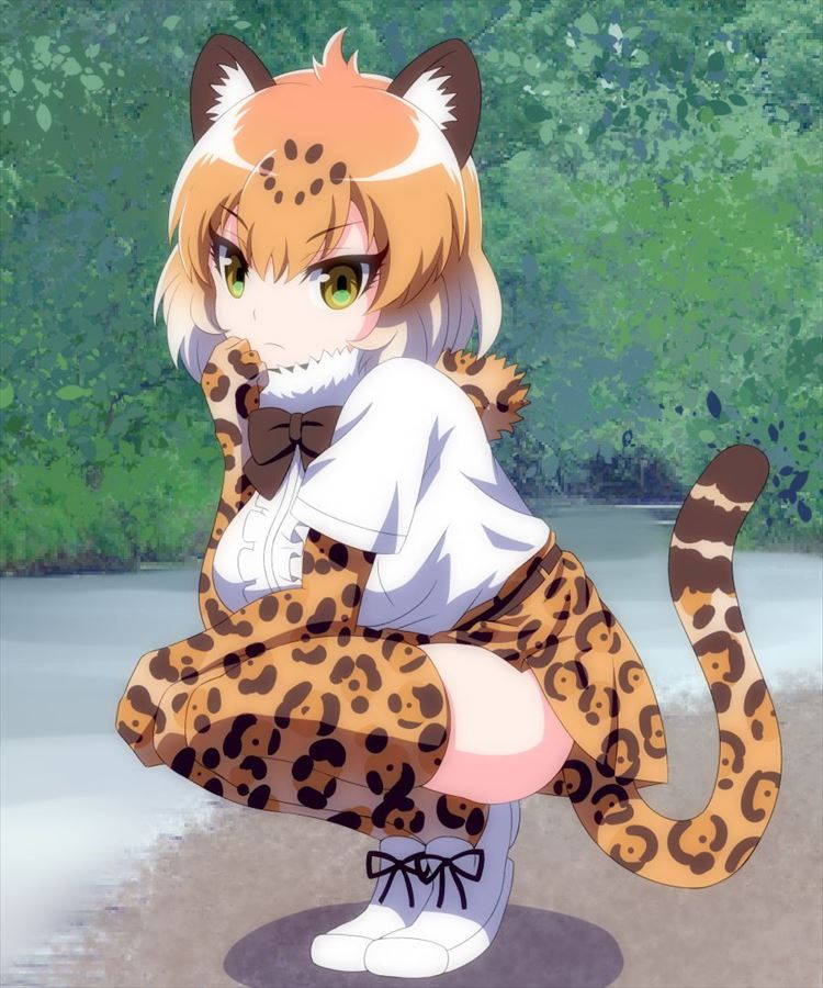 けものフレンズの画像フォルダを公開する！