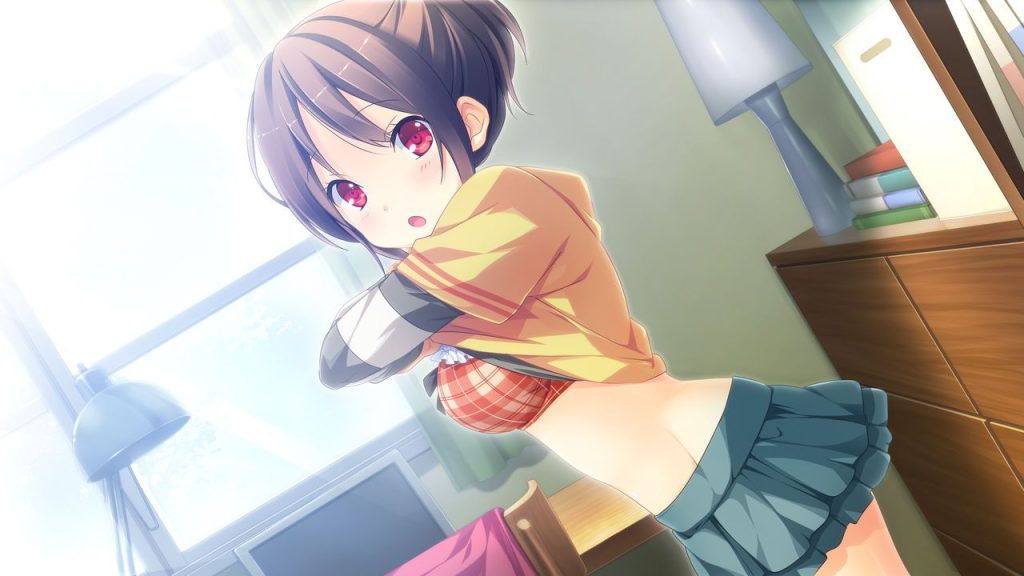 ラッキースケベのエッチな部分を奥の奥まで堪能できるエロ画像