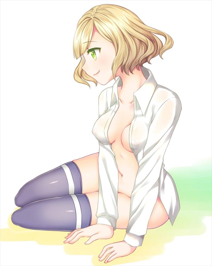 白猫プロジェクトのエロ画像フォルダを解放していく