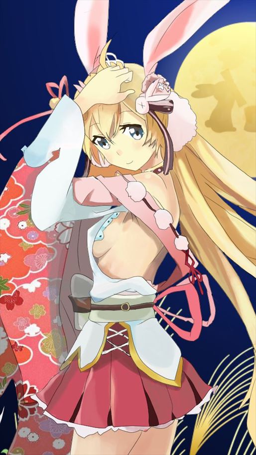 白猫プロジェクトのエロ画像フォルダを解放していく