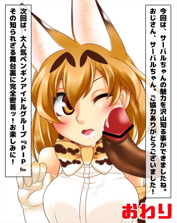 けものフレンズのエロ画像集めてみた