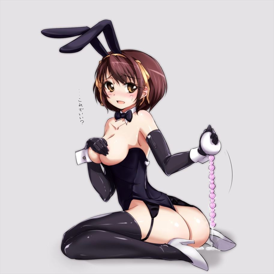 涼宮ハルヒの憂鬱がエロくてたまんないので画像を収集してきた