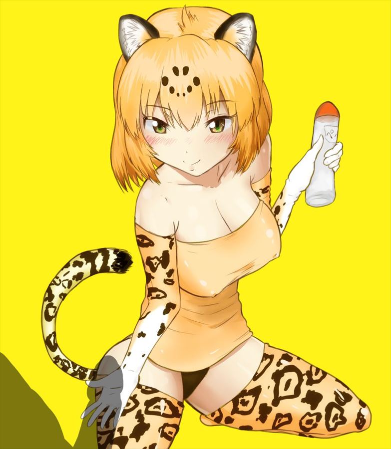 けものフレンズのエロ画像集めてみた