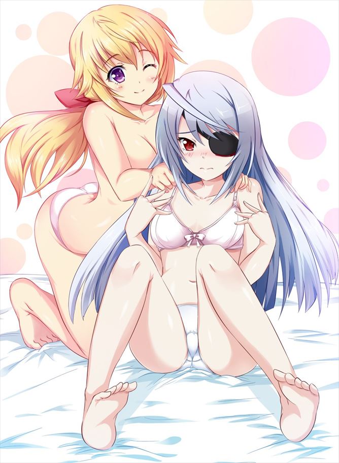 インフィニット・ストラトスの高画質なエロ画像を探してみました！