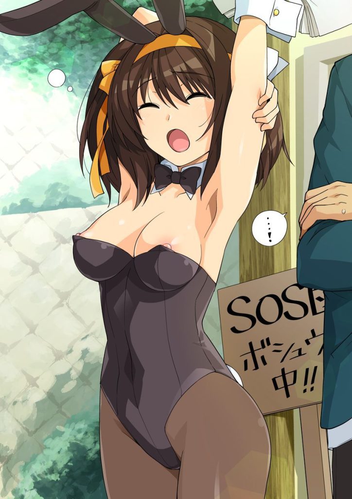 ラッキースケベの二次エロ画像