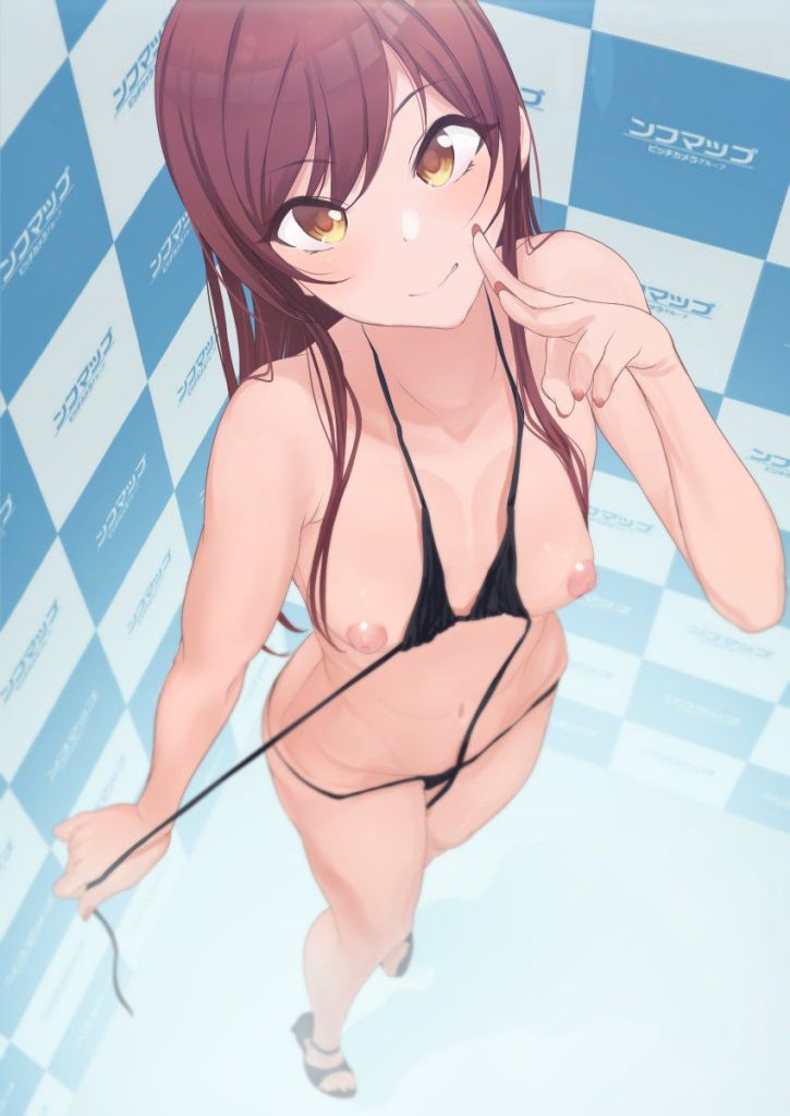 主観のエロ画像を復習していく