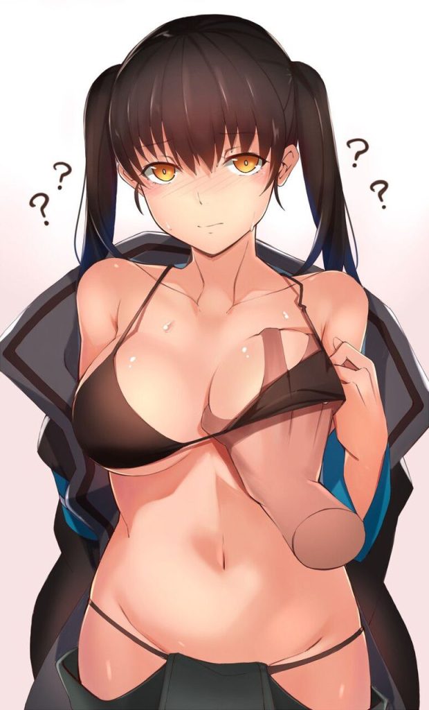 主観の二次エロ画像まとめ