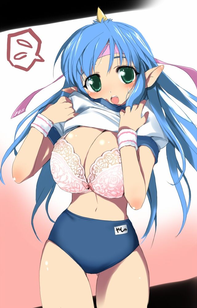 体操服・ブルマの秘密のエロ画像を収集