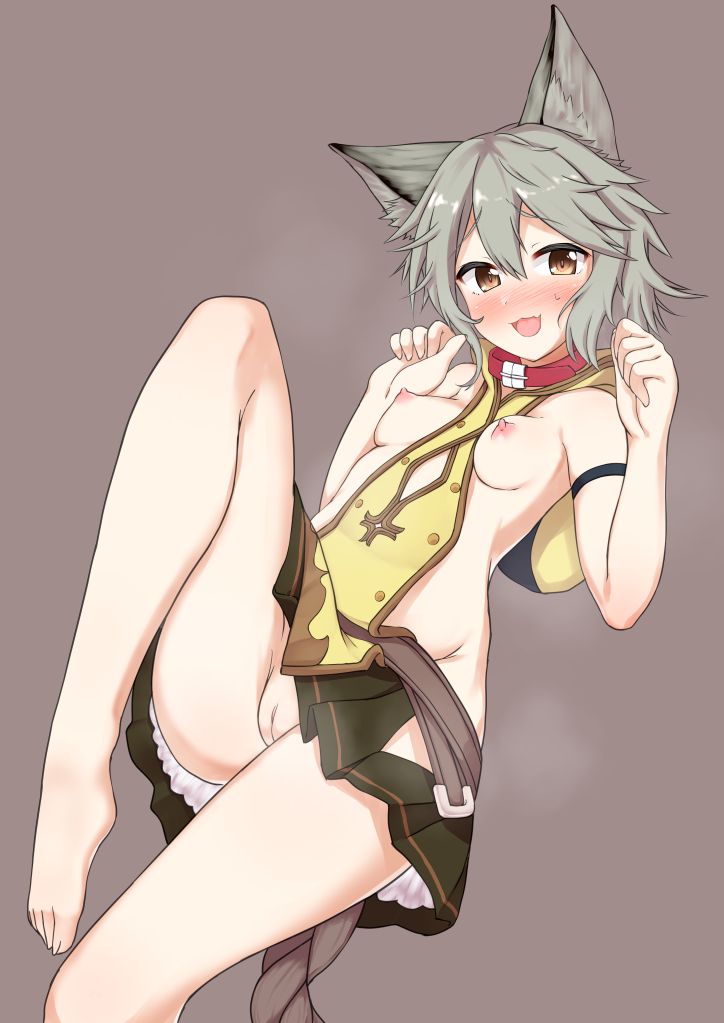 ケモ耳のエロ画像で抜きたくなったから貼ってくよ