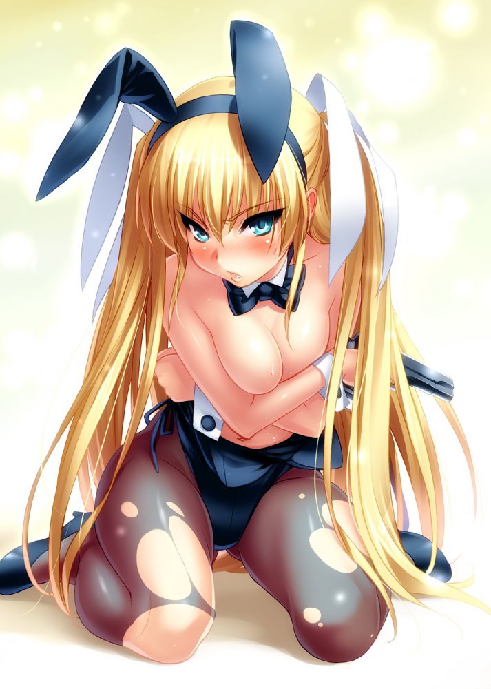 バニーガールのよさを痛感できるエロ画像ください