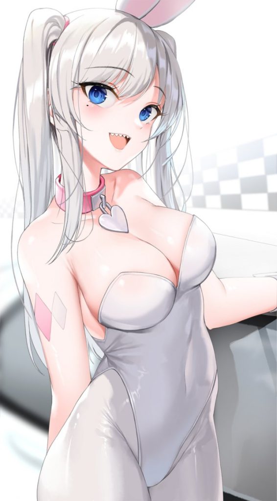 オカズにできそうなバニーガールの二次エロ画像はいかがですか?