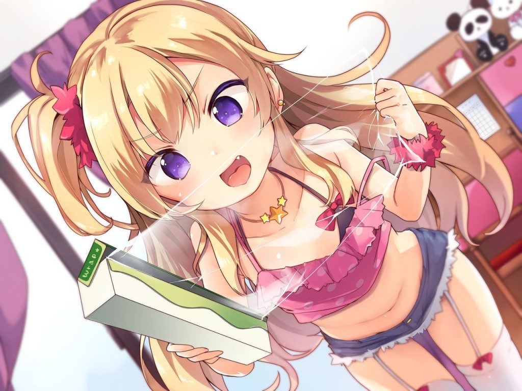 ガーターベルトの二次エロ画像