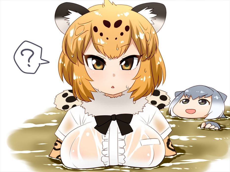 けものフレンズのあんな姿やこんな姿をじっくりまじまじと堪能したい