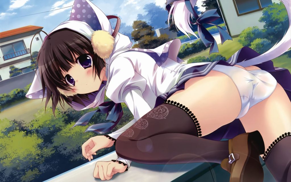 ニーソの画像倉庫がここです!