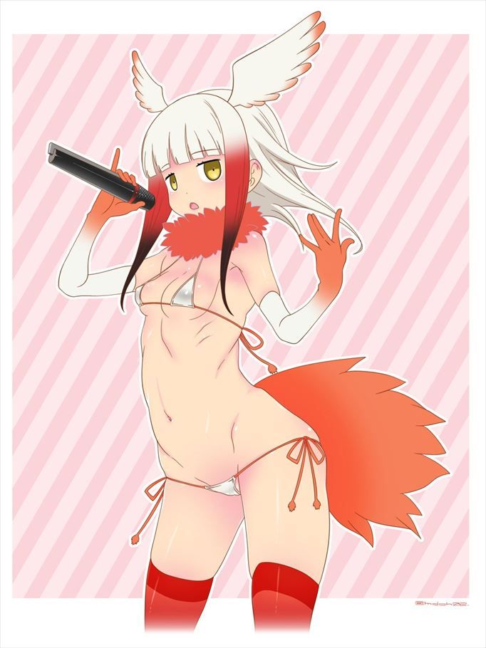 けものフレンズのあんな姿やこんな姿をじっくりまじまじと堪能したい