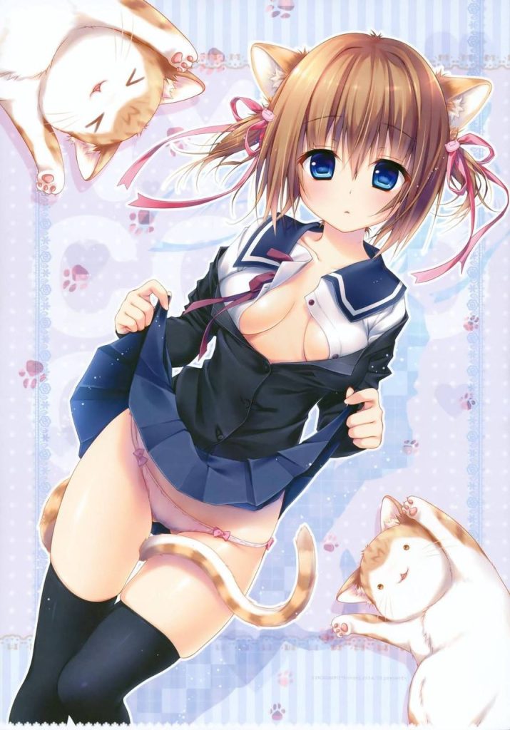 ニーソの二次エロ画像を愛でる。