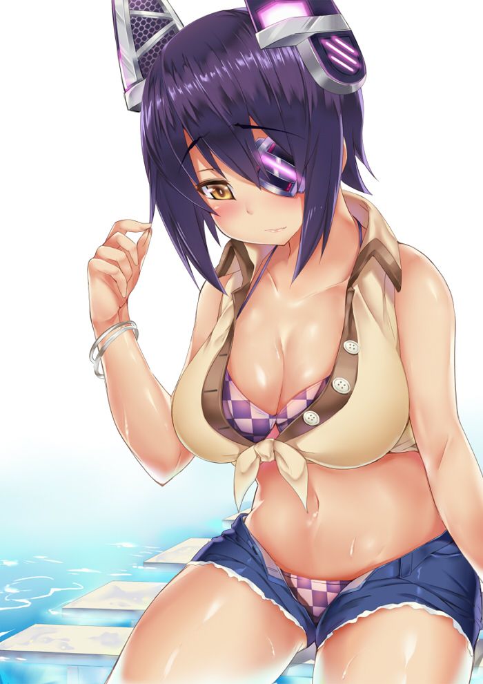 艦隊これくしょんの画像ってエロいよな？
