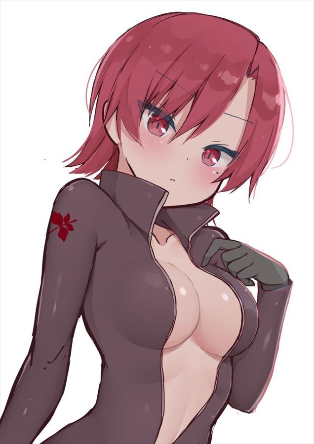 Fate Grand Orderのエッチな画像見たいよね？