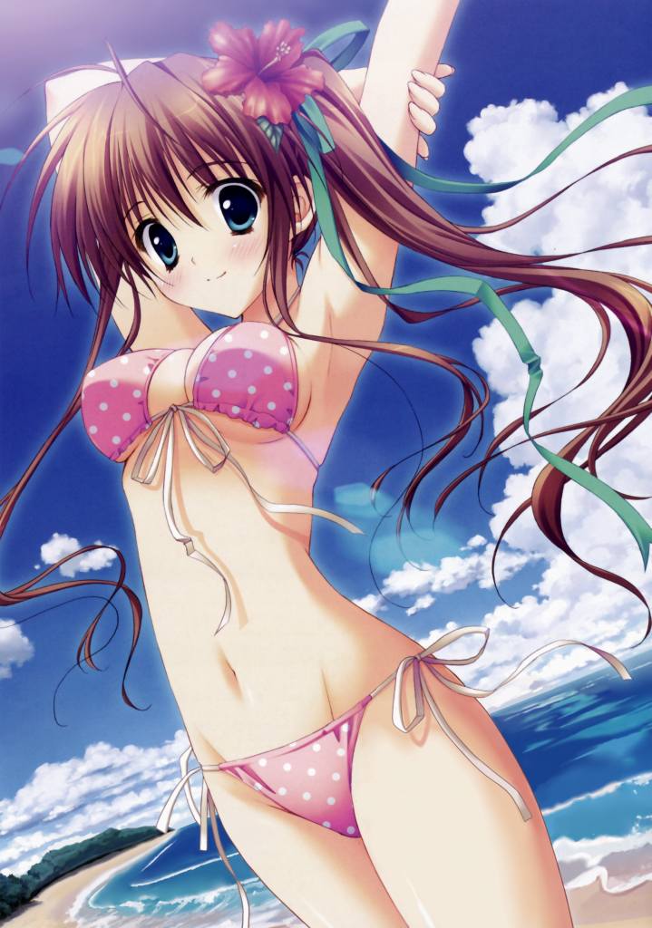 水着の二次画像がヌけすぎてこまる件について