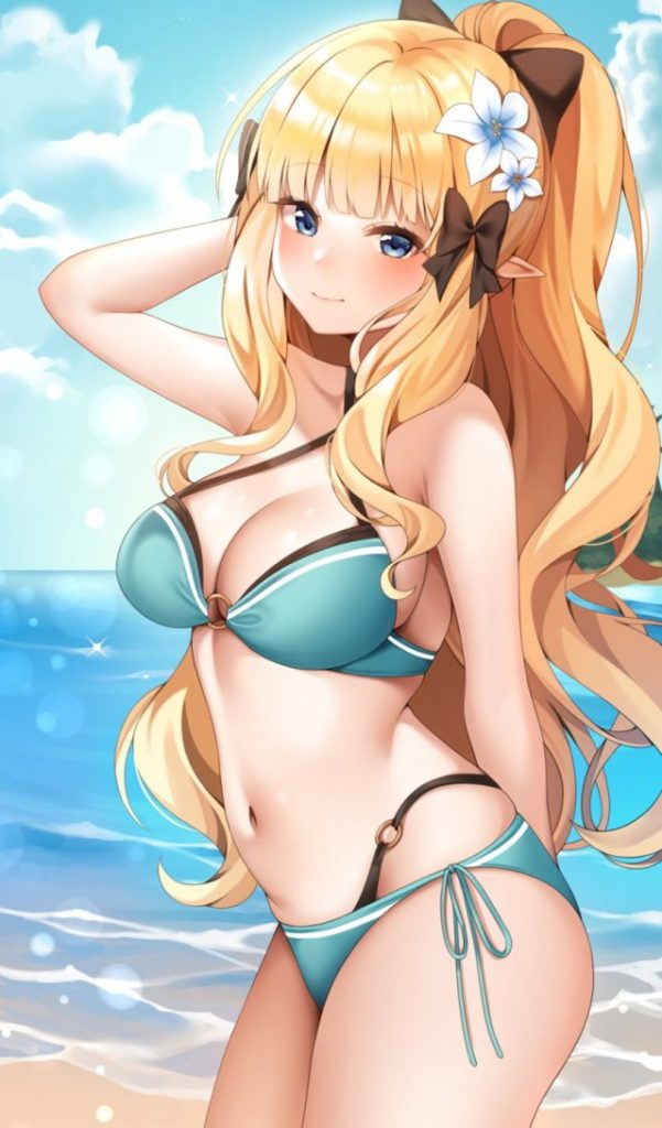 巨乳の二次エロ画像くだしあ。